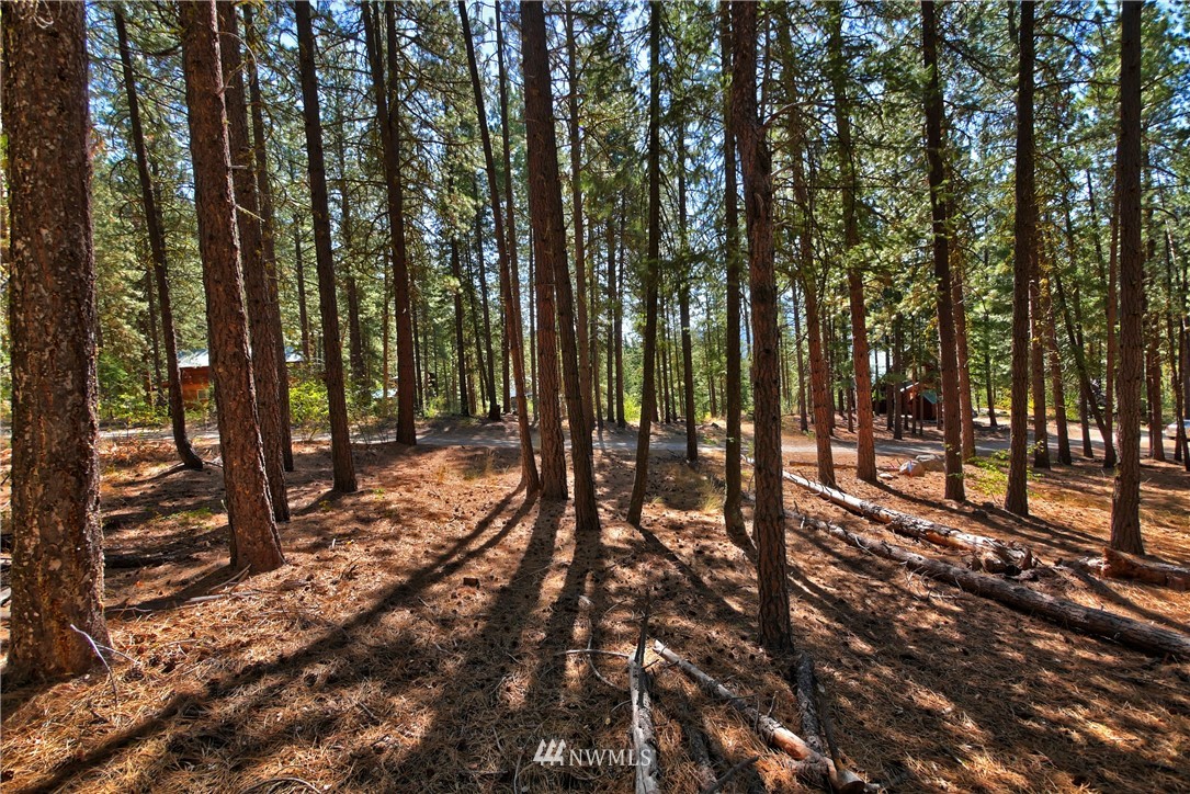 4 Cassal Road Winthrop, WA 98862 - Photo 14 of 25 Gallery Image 14