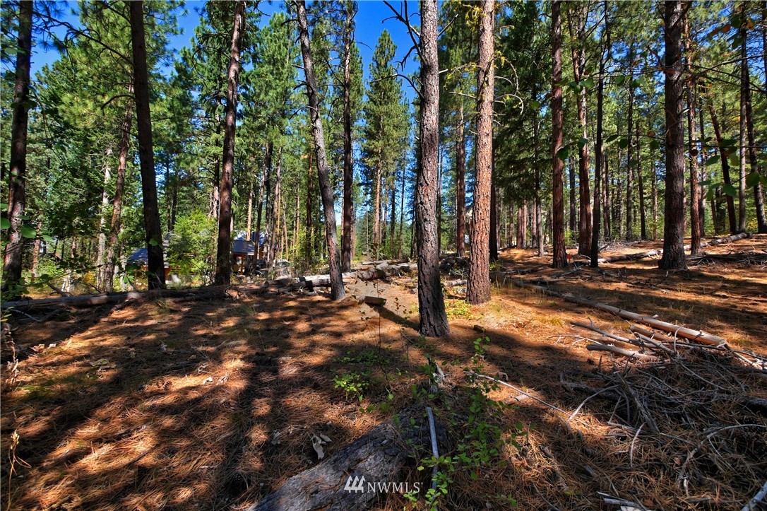4 Cassal Road Winthrop, WA 98862 - Photo 15 of 25 Gallery Image 15