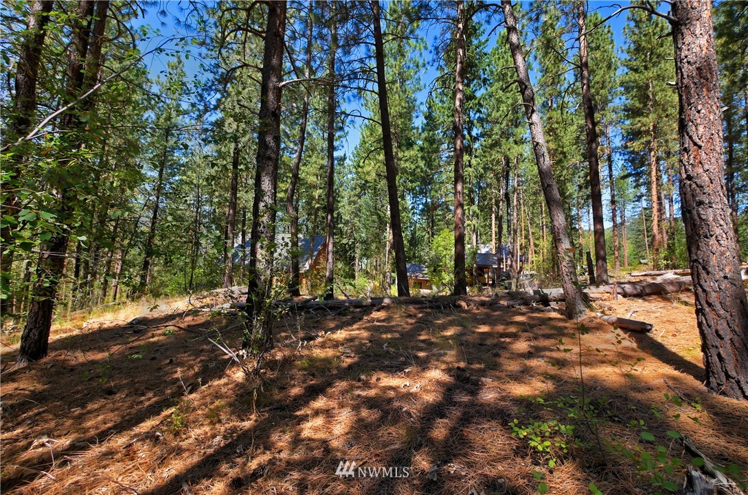 4 Cassal Road Winthrop, WA 98862 - Photo 16 of 25 Gallery Image 16