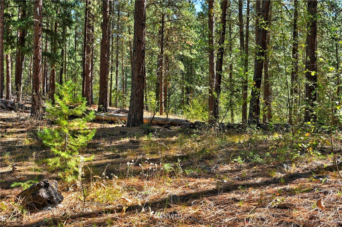 4 Cassal Road Winthrop, WA 98862 - Photo 17 of 25 Gallery Image 17