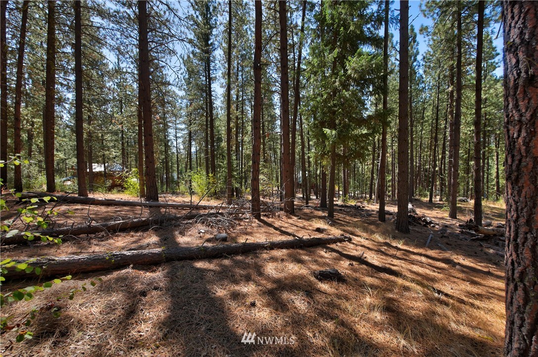 4 Cassal Road Winthrop, WA 98862 - Photo 6 of 25 Gallery Image 6
