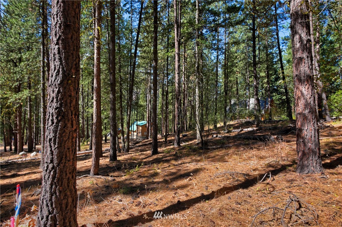 4 Cassal Road Winthrop, WA 98862 - Photo 8 of 25 Gallery Image 8