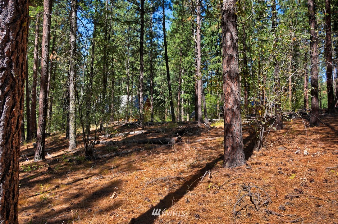 4 Cassal Road Winthrop, WA 98862 - Photo 9 of 25 Gallery Image 9