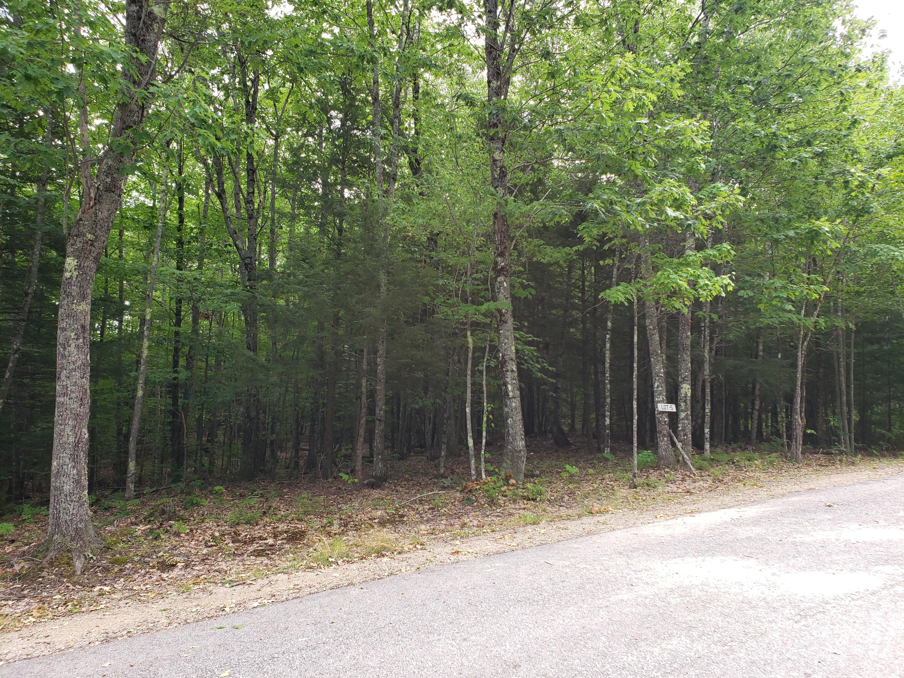 Lot 5 Autumn Ridge Sabattus, ME 04280 - Photo 1 of 6 20200819_150959