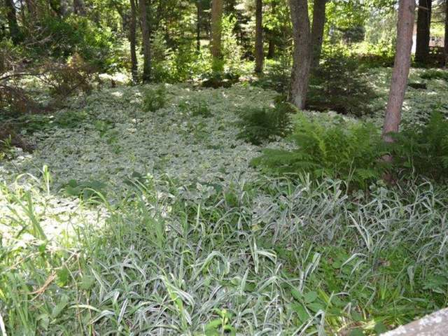 On Manor Road Rhinelander, WI 54501 - Photo 15 of 15 Gallery Image 15