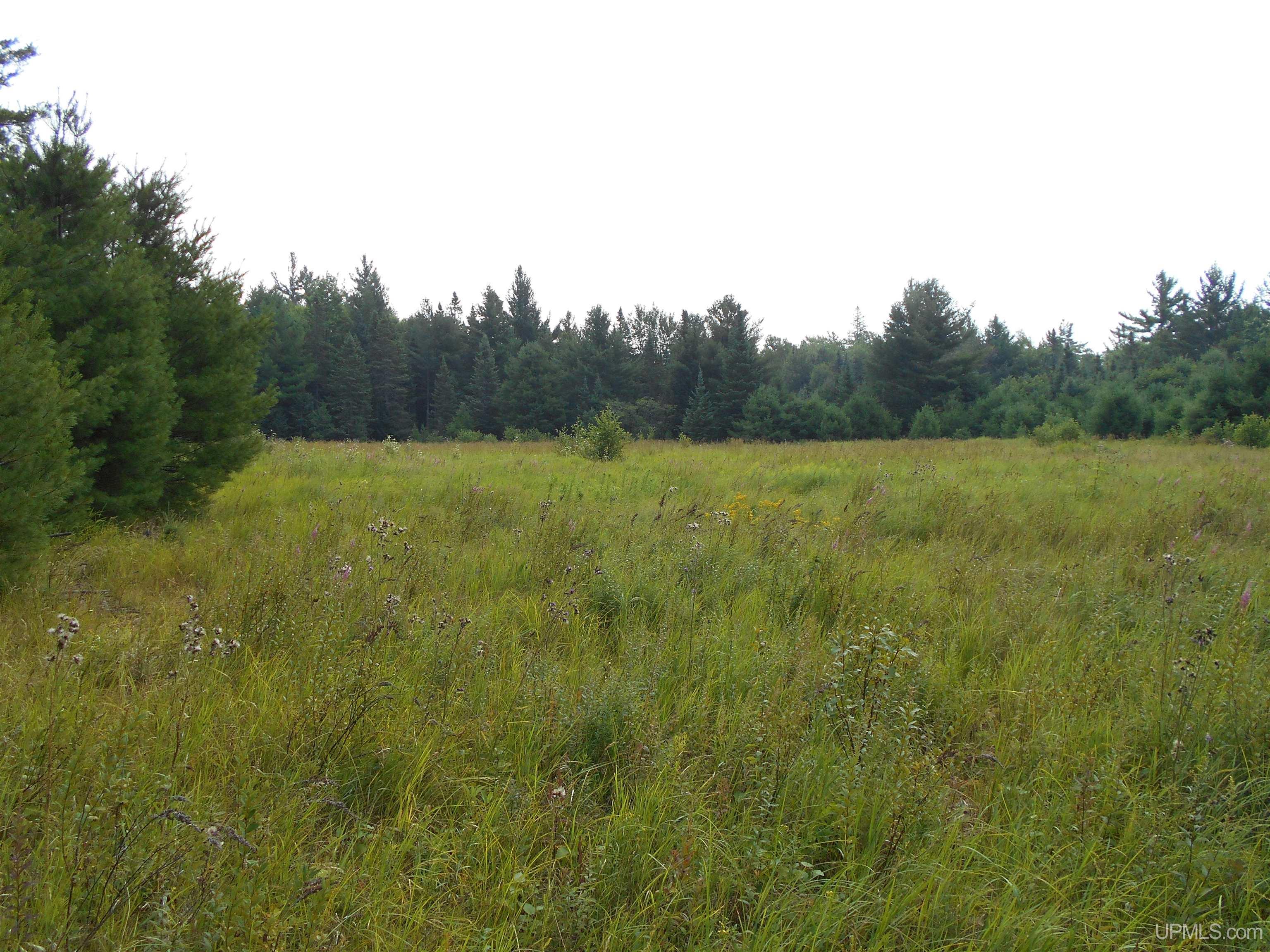 40-acres Garden Grade Road Garden, MI 49817 - Photo 48 of 51