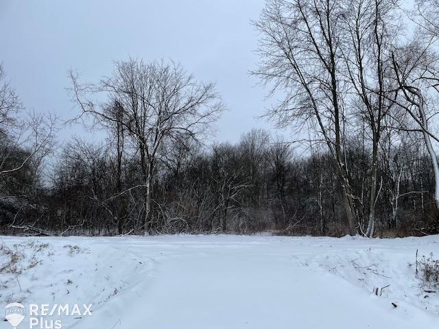 Parcel C Roods Lake Road Lapeer, MI 48446 - Photo 5 of 8