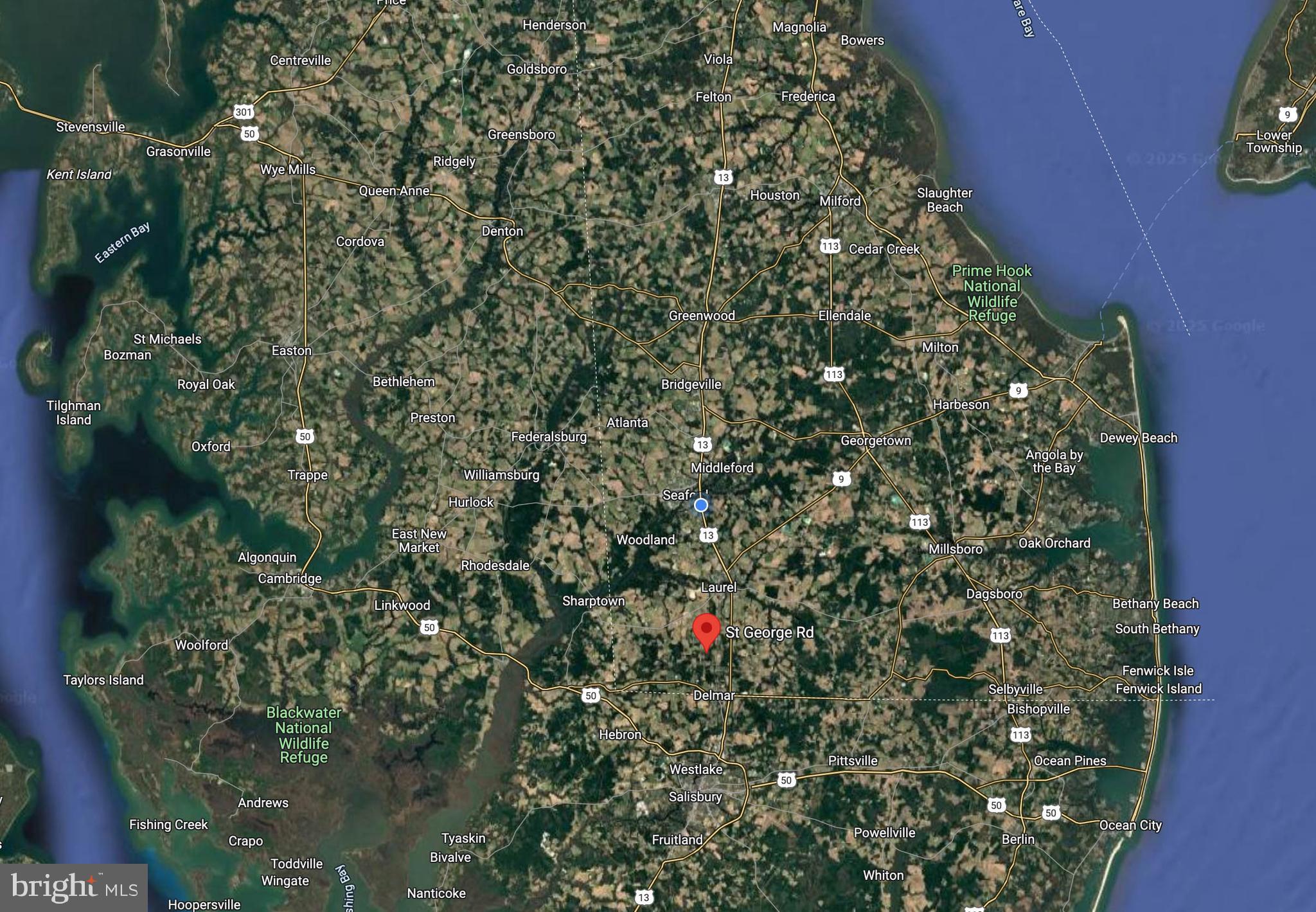 Lot 4 St George Road Laurel, DE 19956 - Photo 7 of 7 a picture of a tree