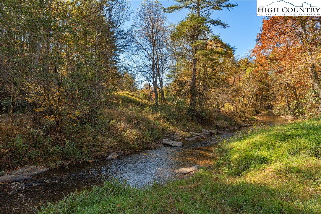 Valley Drive Jefferson, NC 28640 - Photo 11 of 18 a view of a yard with large trees