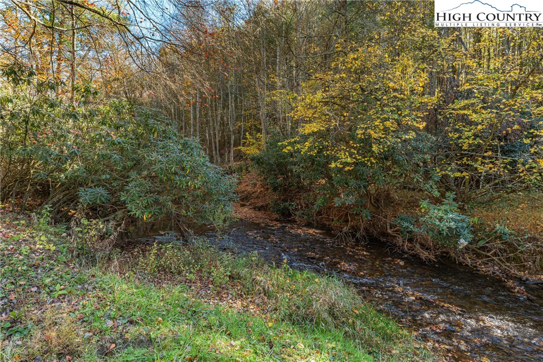 Valley Drive Jefferson, NC 28640 - Photo 12 of 18 a view of a forest that has large trees