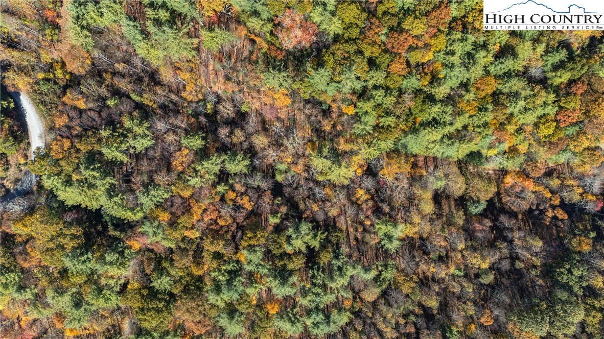 Valley Drive Jefferson, NC 28640 - Photo 18 of 18 a view of a bunch of trees