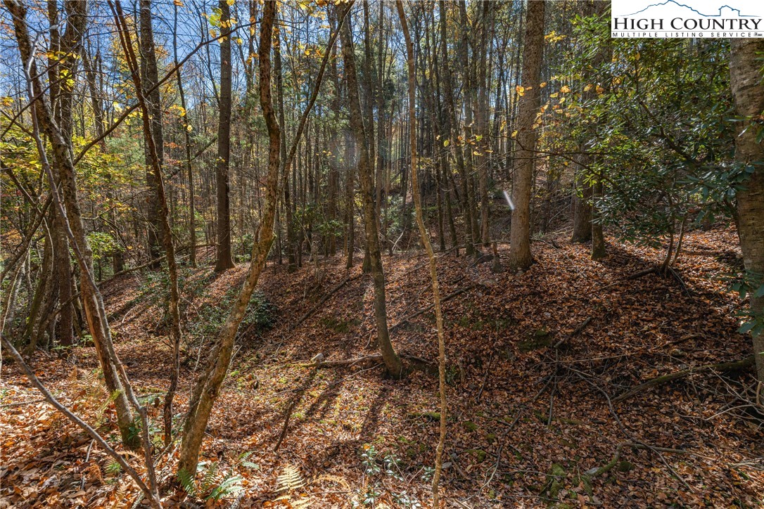 Valley Drive Jefferson, NC 28640 - Photo 5 of 18 a view of forest
