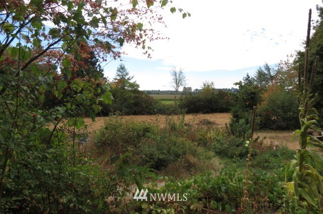 1829 Kok Road Lynden, WA 98264 - Photo 14 of 25