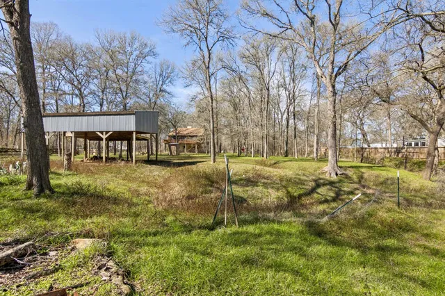 a view of a yard with a tree