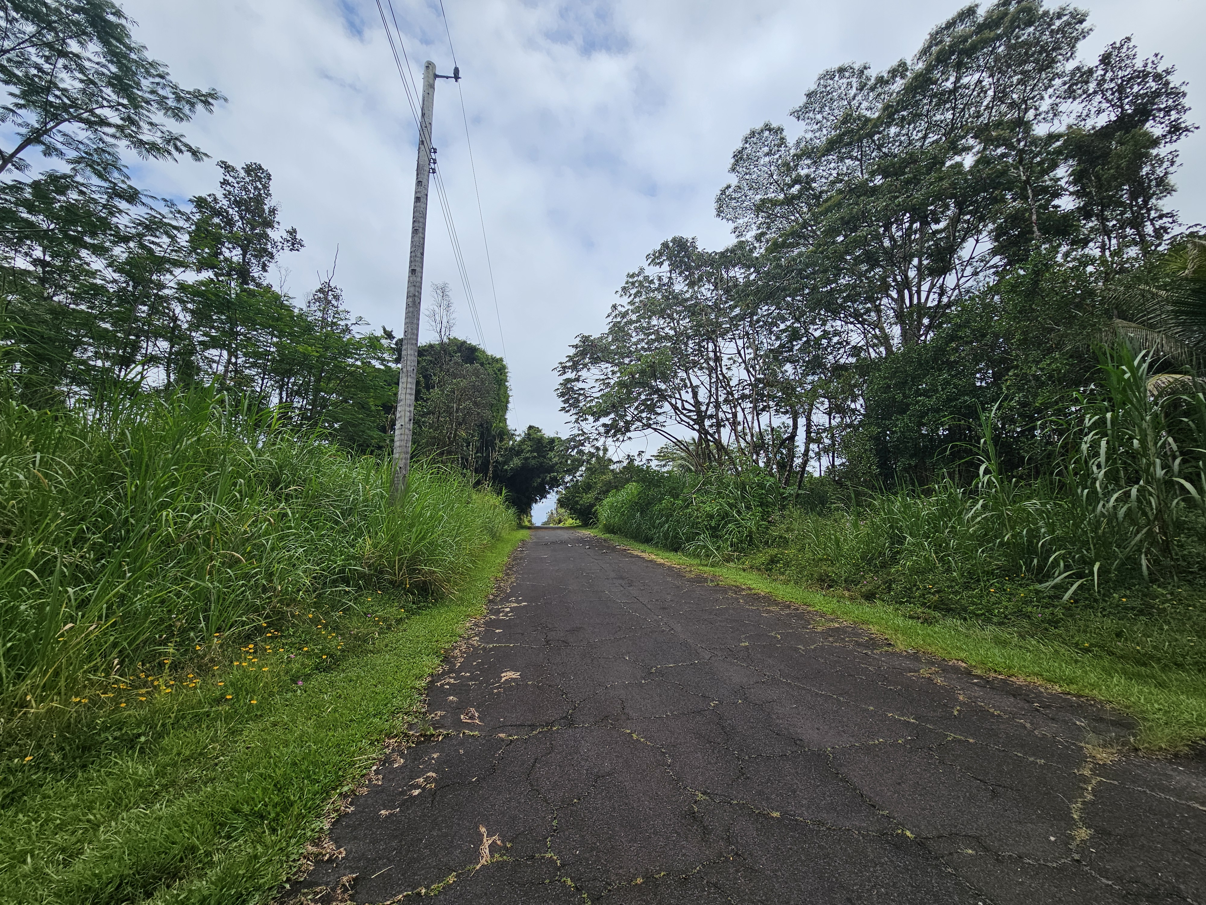 247 Pahoa Road Pahoa, HI 96778 - Photo 6 of 11