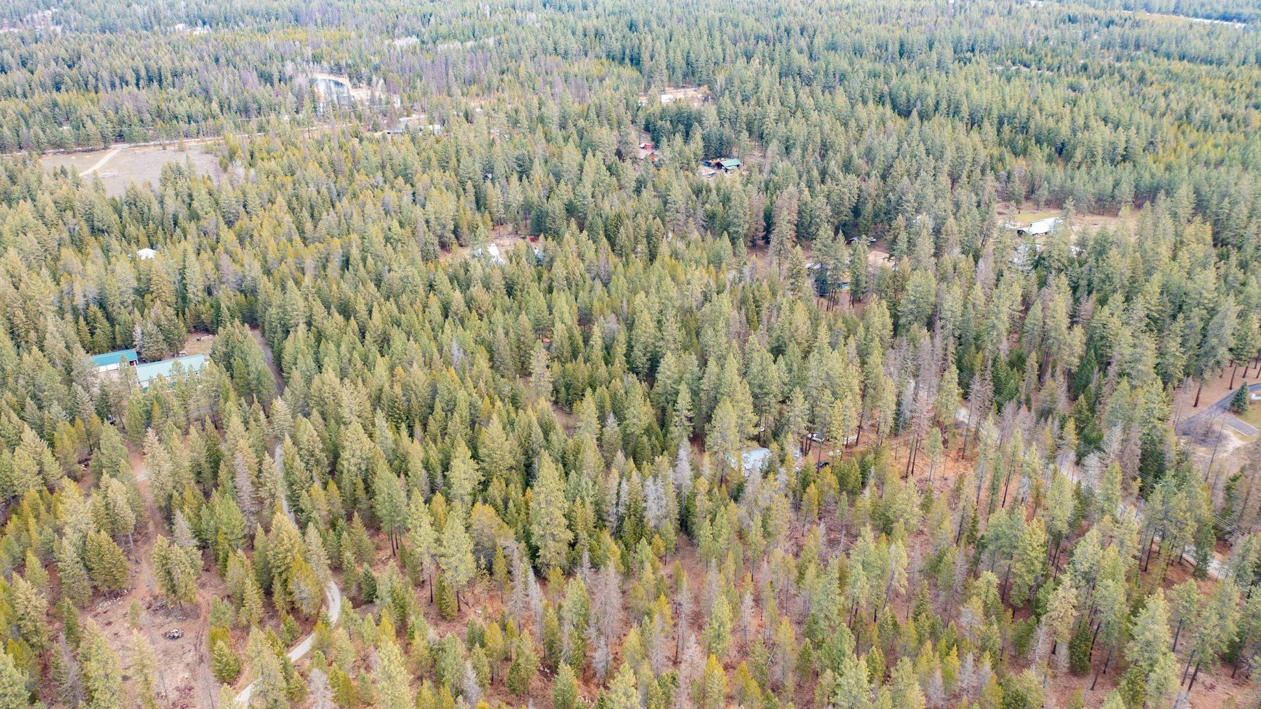 35311 North Findley Road Deer Park, WA 99006 - Photo 16 of 16