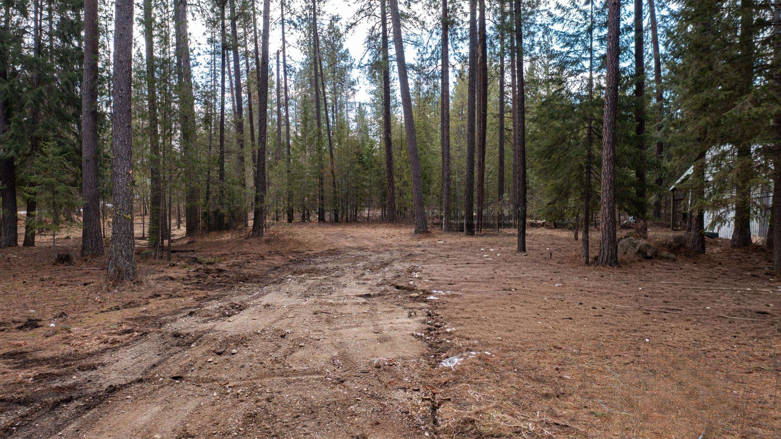 35311 North Findley Road Deer Park, WA 99006 - Photo 7 of 16