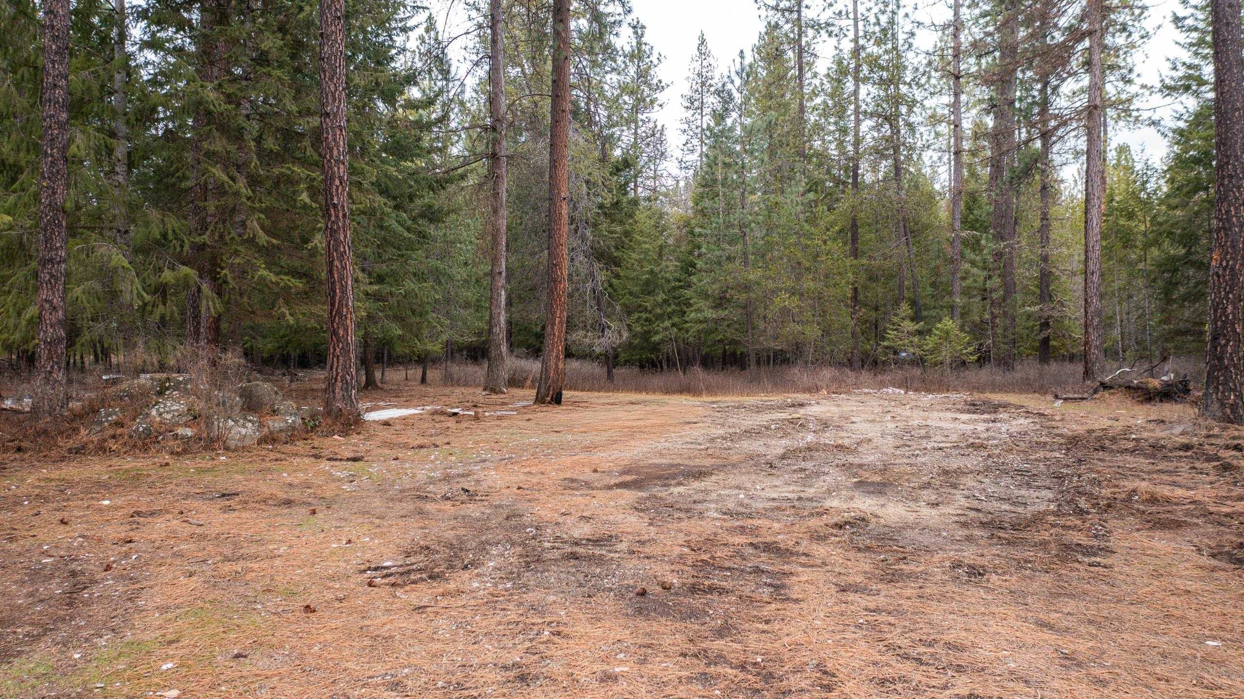 35311 North Findley Road Deer Park, WA 99006 - Photo 8 of 16