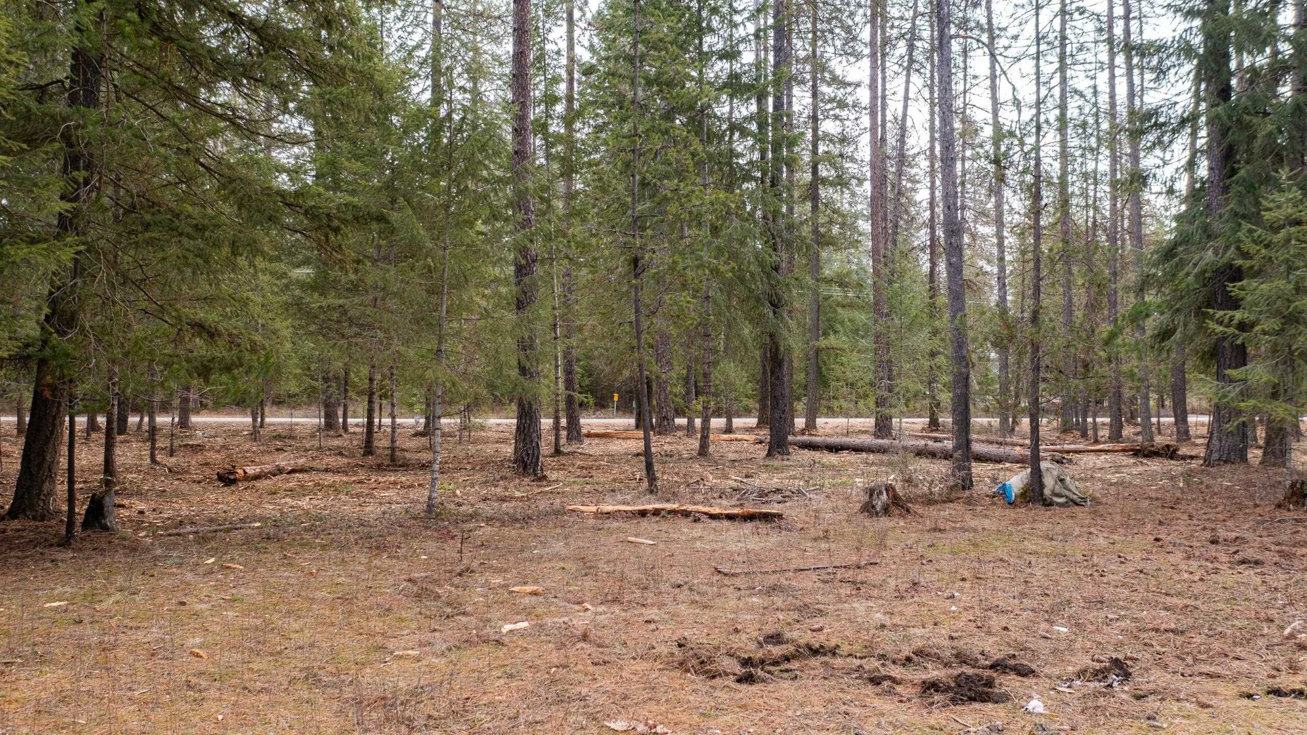 35311 North Findley Road Deer Park, WA 99006 - Photo 9 of 16