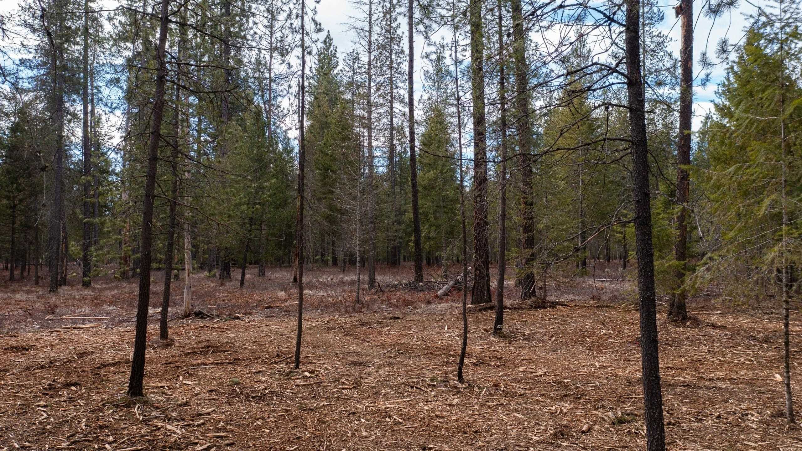 35311 North Findley Road Deer Park, WA 99006 - Photo 10 of 16