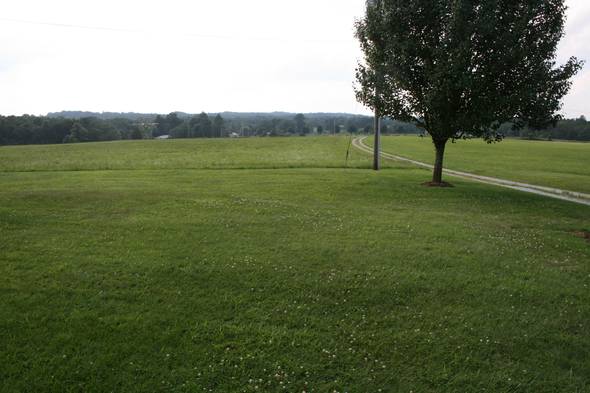 1997 Walkertown Road Dayton, TN 37321 - Photo 22 of 34 Colvin Farm 006