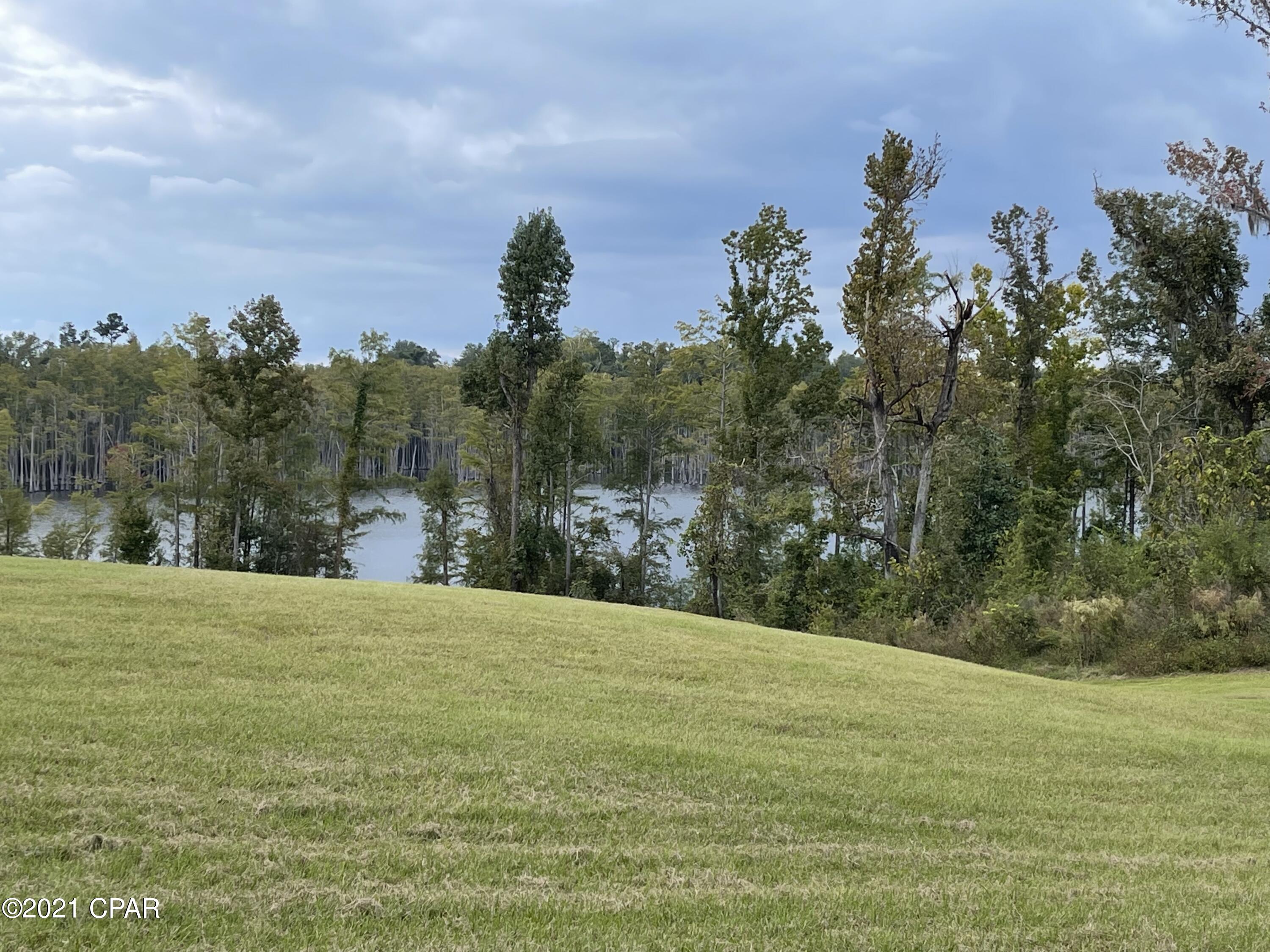 0 Shady Grove Road Grand Ridge, FL 32442 - Photo 1 of 6 Gallery Image 1