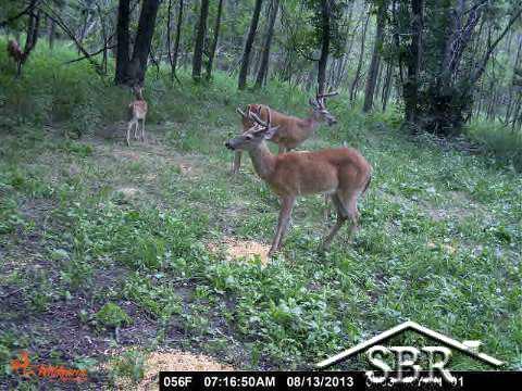 6200 Gratiot Road Saginaw, MI 48638 - Photo 17 of 22 20367839-16.JPG