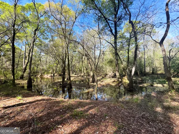 $1,381,458 | 0 Demott Road, Hartsfield, GA 31756