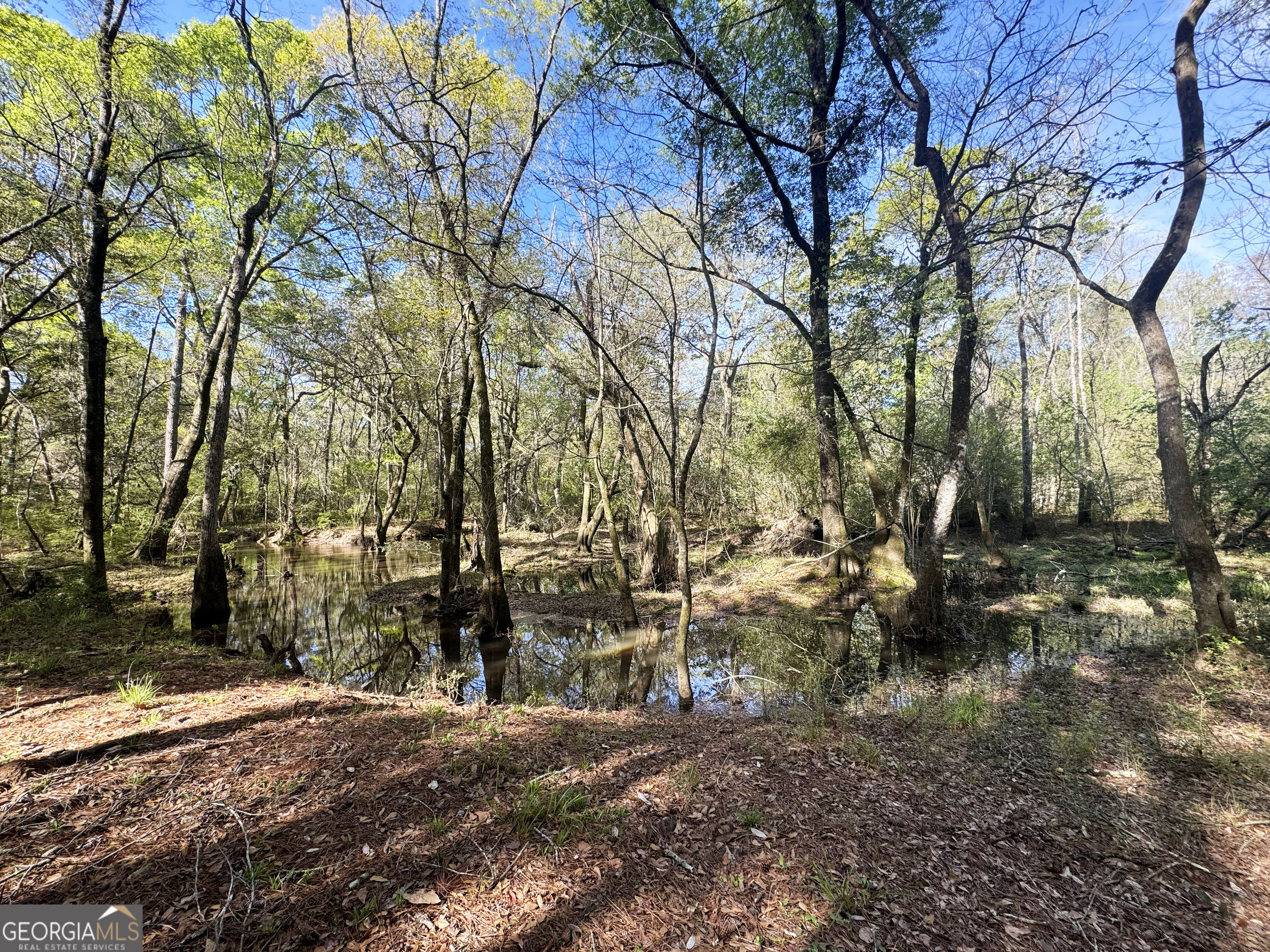 0 Demott Road Hartsfield, GA 31756 - Photo 11 of 19