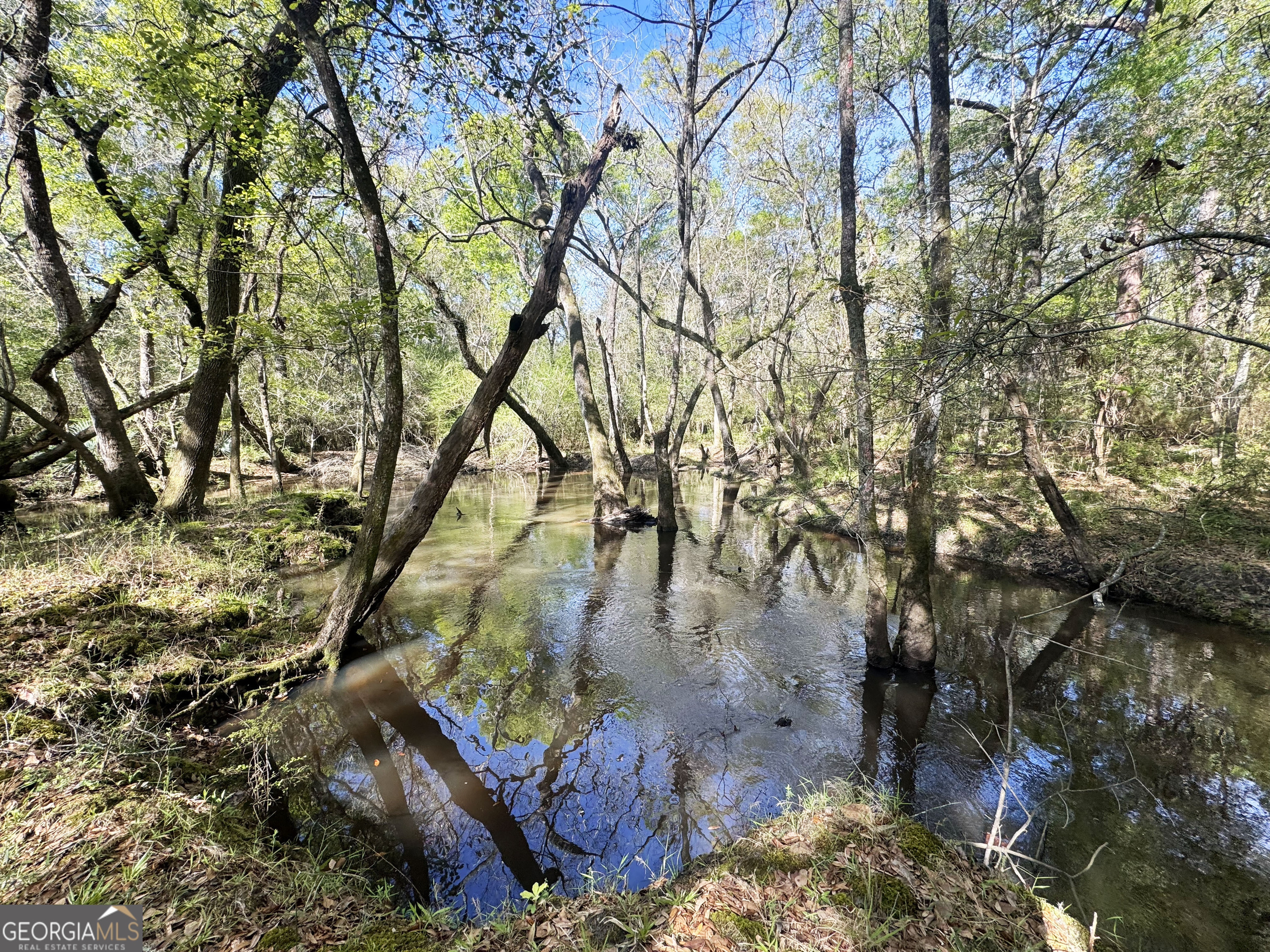 0 Demott Road Hartsfield, GA 31756 - Photo 13 of 19