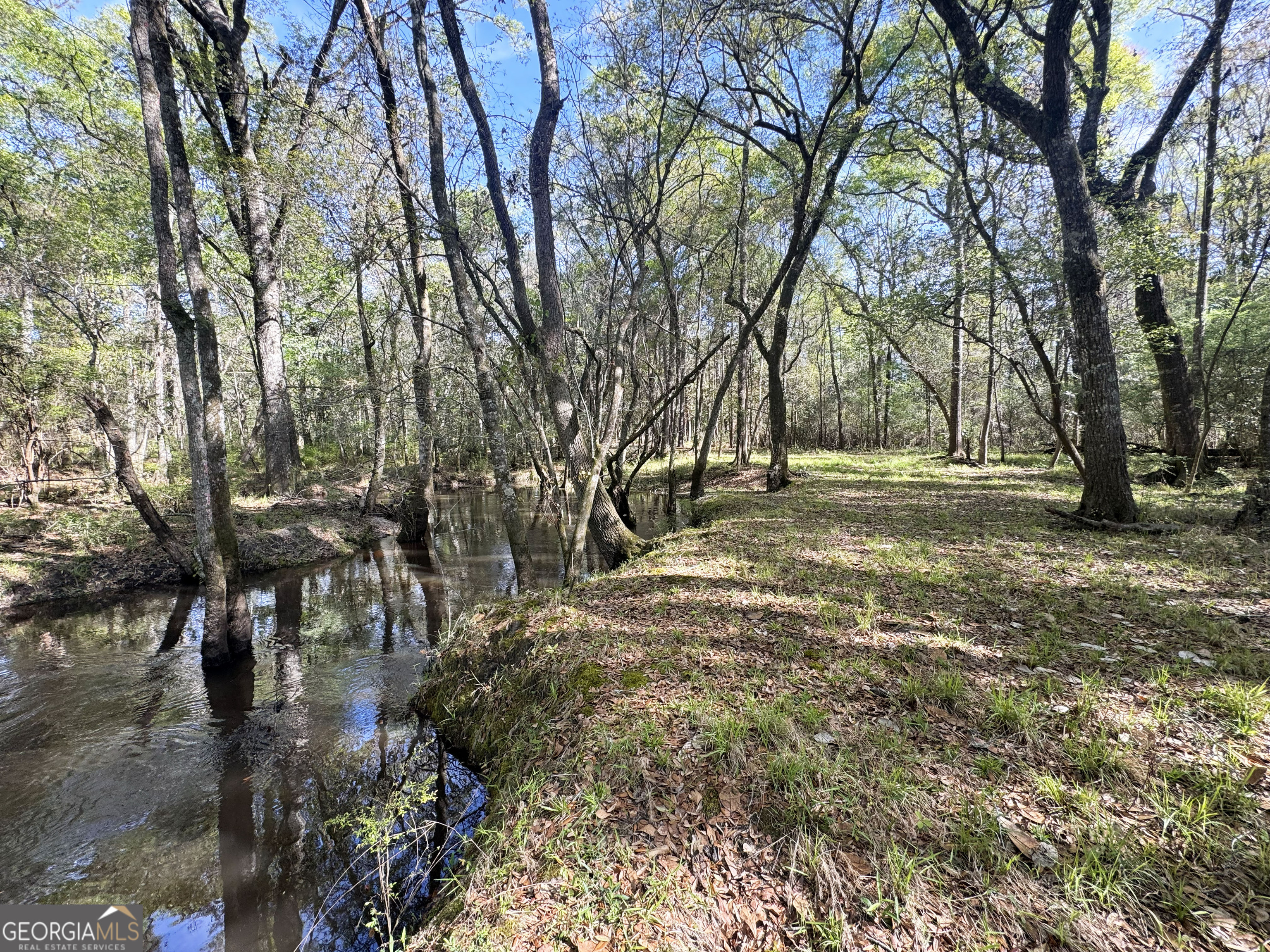 0 Demott Road Hartsfield, GA 31756 - Photo 14 of 19