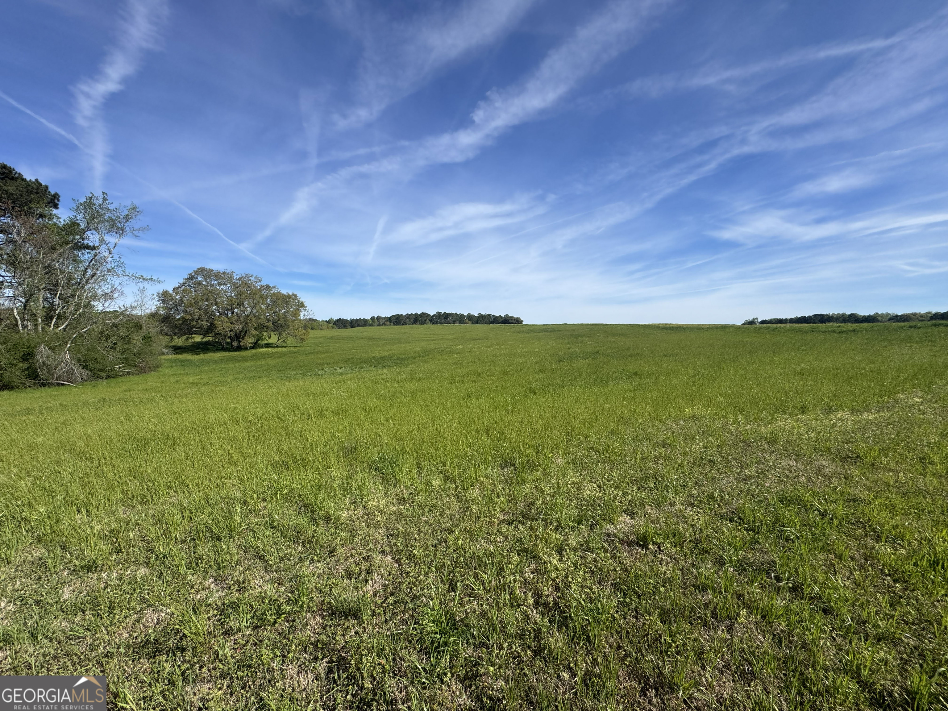 0 Demott Road Hartsfield, GA 31756 - Photo 16 of 19