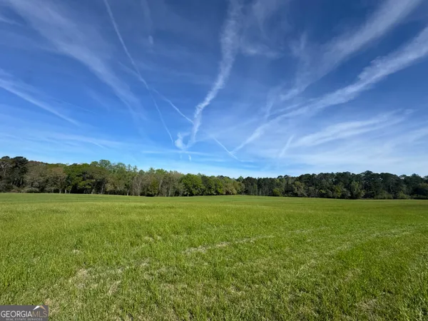 $1,381,458 | 0 Demott Road, Hartsfield, GA 31756