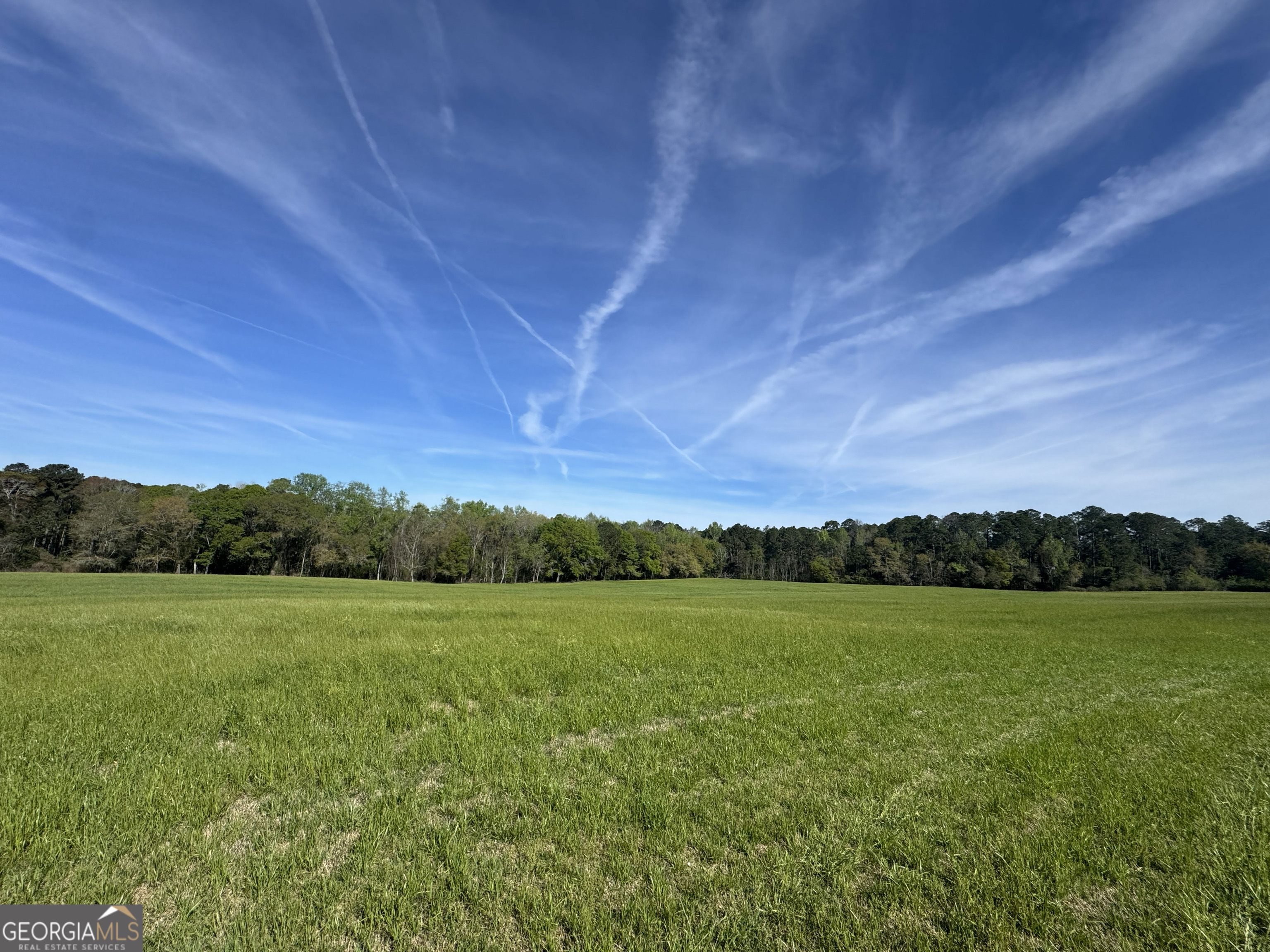 0 Demott Road Hartsfield, GA 31756 - Photo 17 of 19