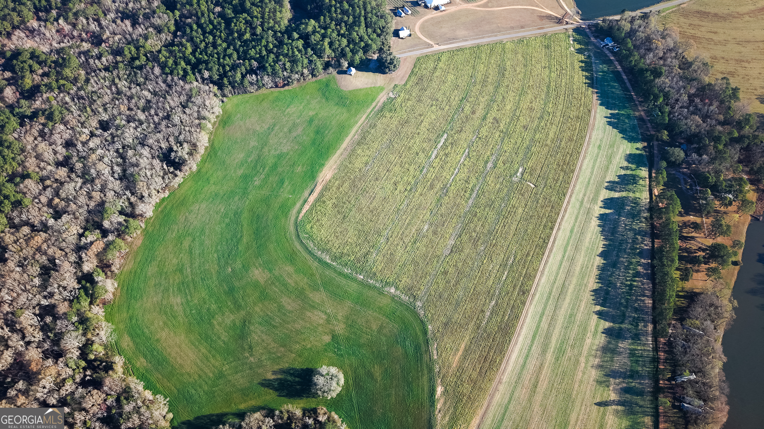 0 Demott Road Hartsfield, GA 31756 - Photo 2 of 19
