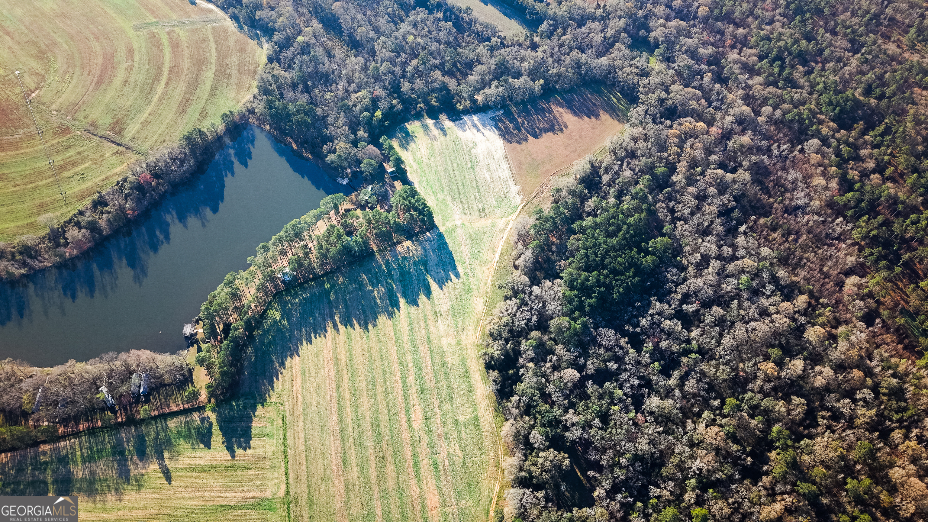 0 Demott Road Hartsfield, GA 31756 - Photo 3 of 19