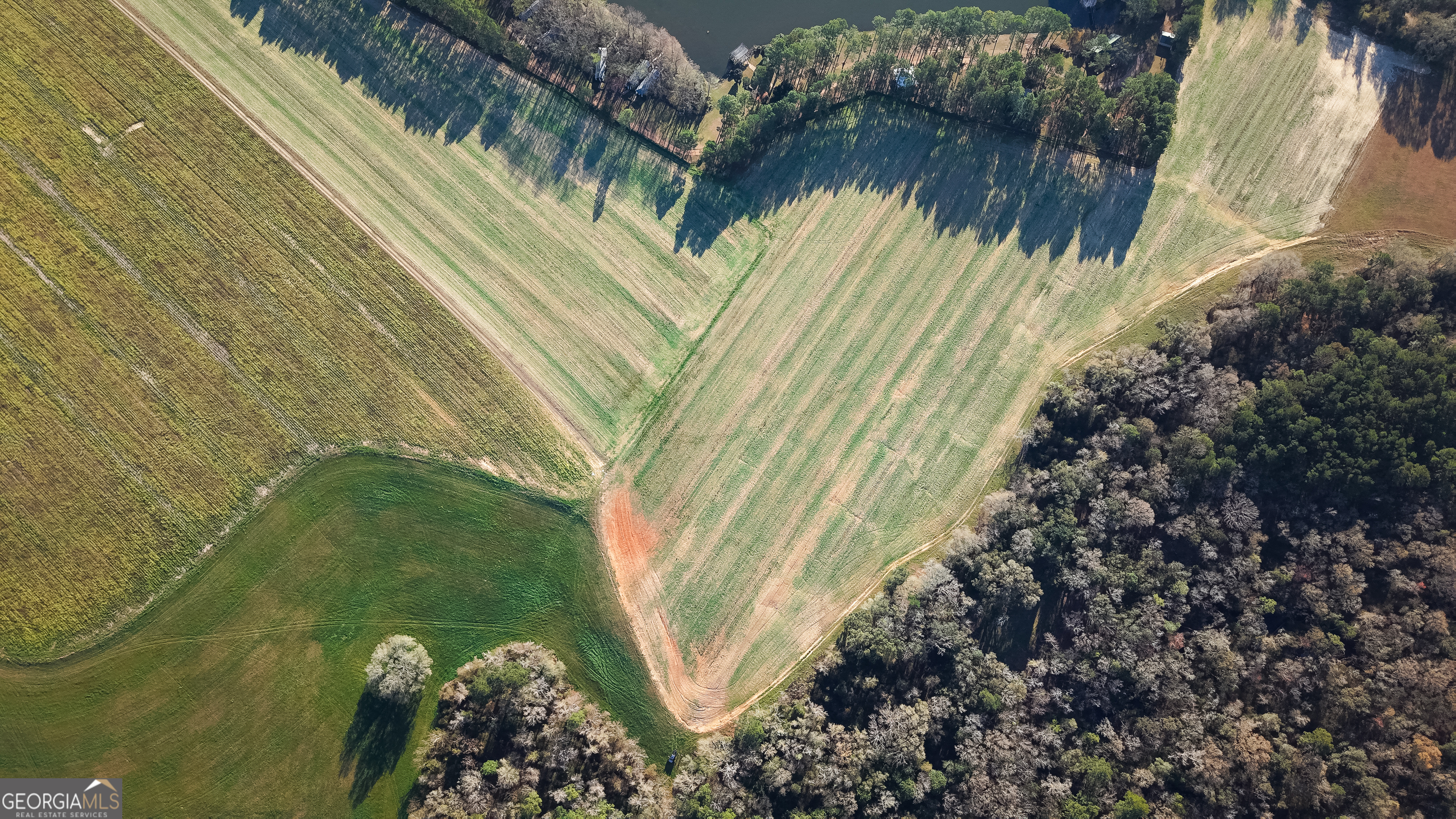 0 Demott Road Hartsfield, GA 31756 - Photo 4 of 19