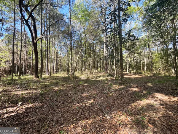 $1,381,458 | 0 Demott Road, Hartsfield, GA 31756