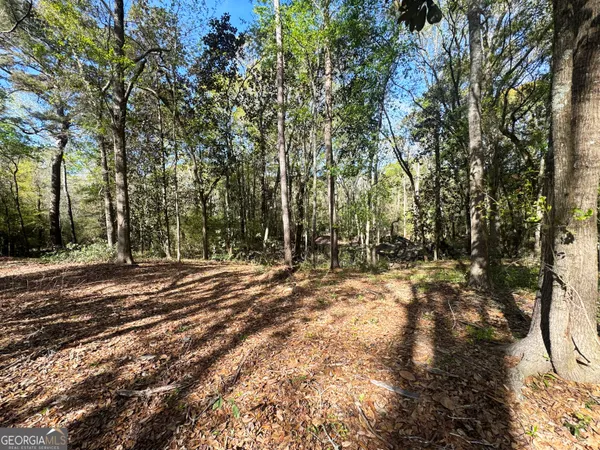 $1,381,458 | 0 Demott Road, Hartsfield, GA 31756
