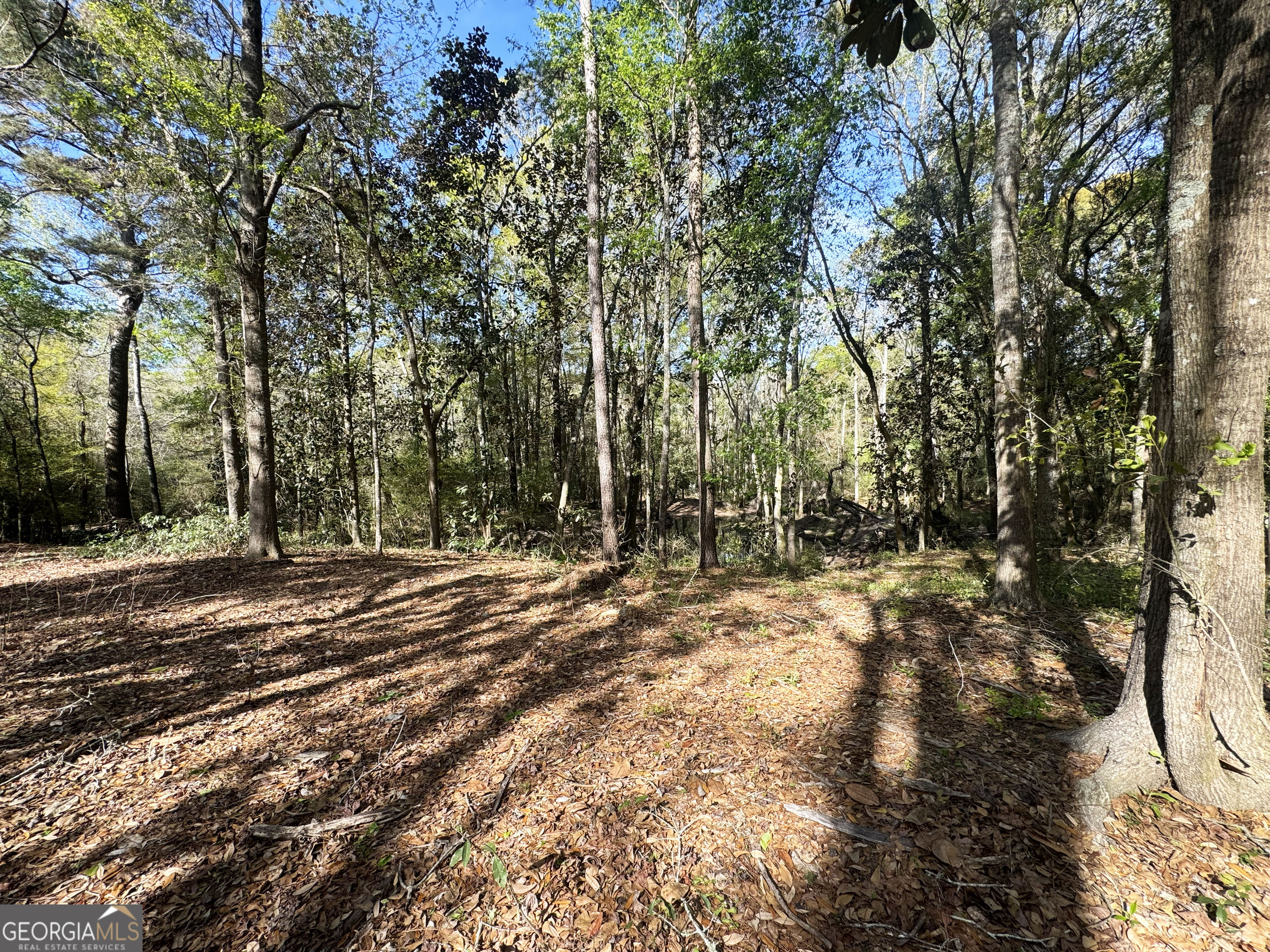 0 Demott Road Hartsfield, GA 31756 - Photo 9 of 19