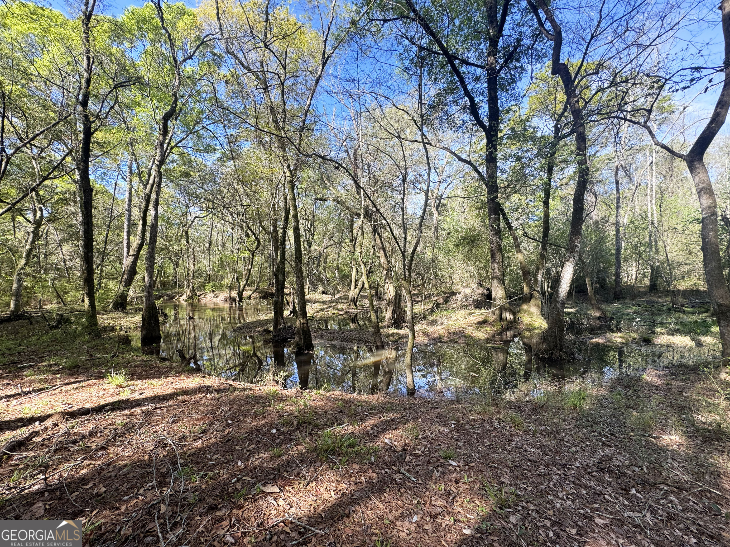 0 Demott Road Hartsfield, GA 31756 - Photo 10 of 19