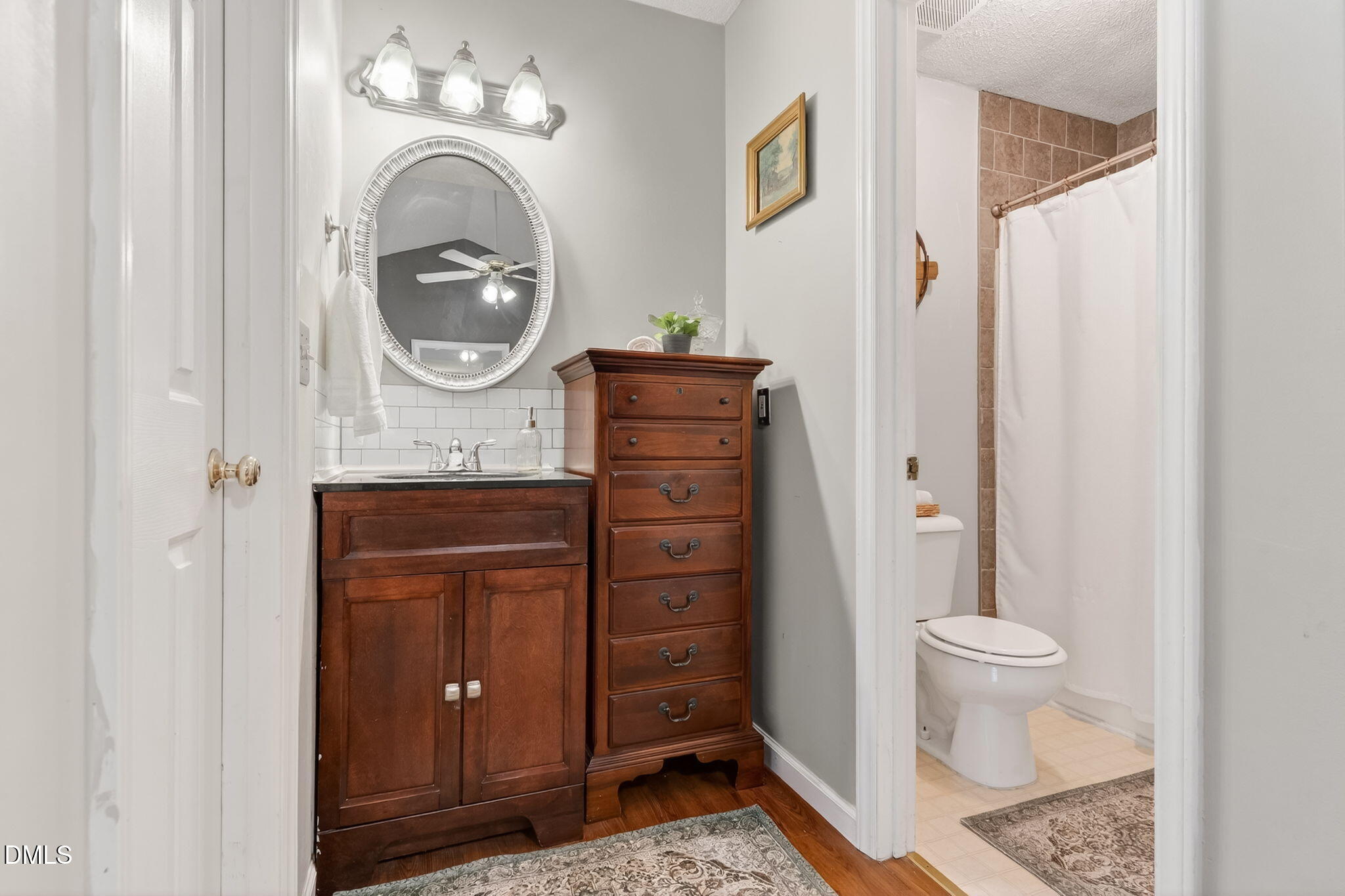 1101 Live Oak Road Coats, NC 27521 - Photo 14 of 29 a bathroom with a toilet a sink and a mirror