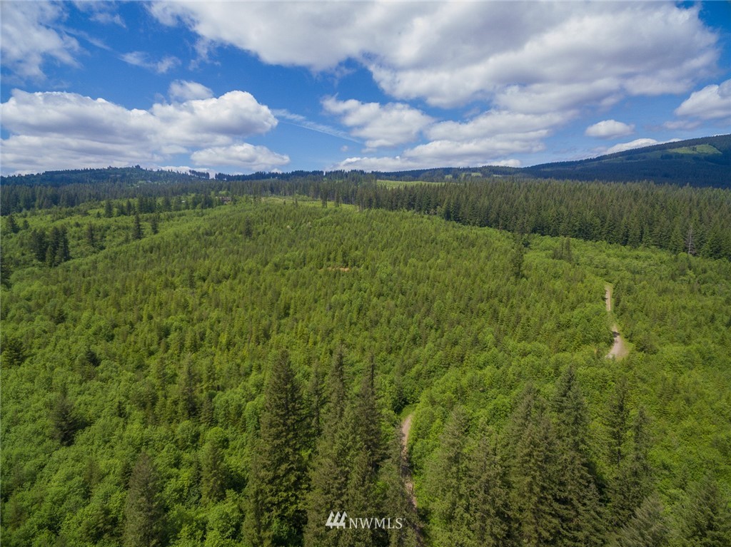 1 Northeast Lessard Road Camas, WA 98607 - Photo 3 of 24