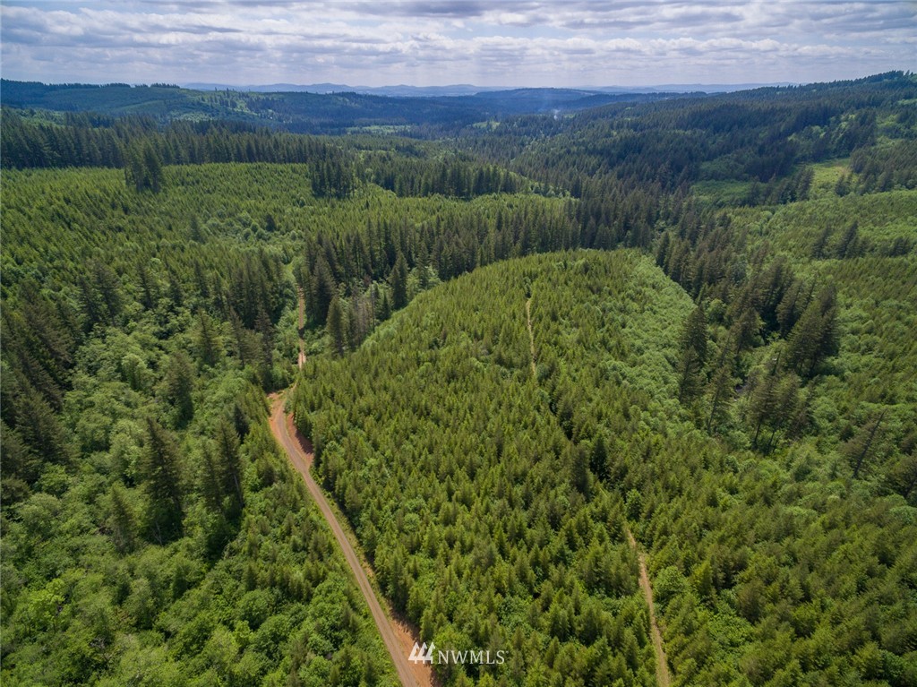 1 Northeast Lessard Road Camas, WA 98607 - Photo 8 of 24