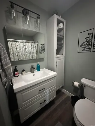 a bathroom with a sink a toilet and mirror