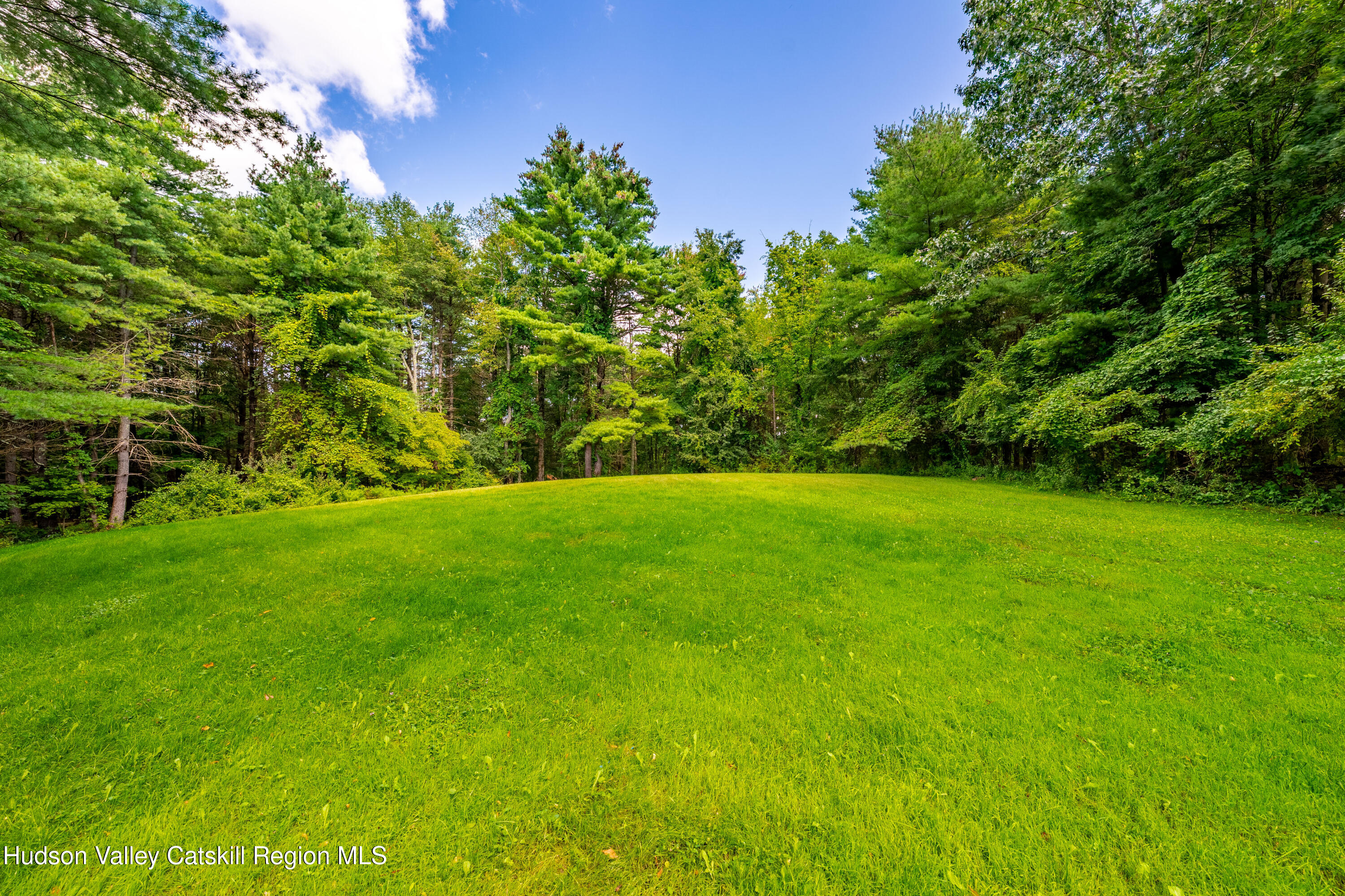 1624 Co Road Brainard, NY 12024 - Photo 34 of 39 DSC04958-HDR