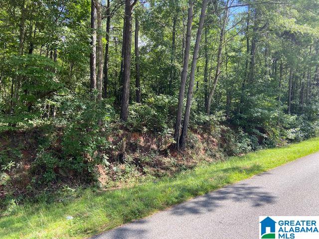 0 County Road 89, Unit 1 Clanton, AL 35046 - Photo 16 of 17