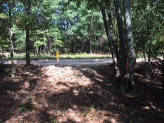 330 James Shull Road Salley, SC 29137 - Photo 5 of 7
