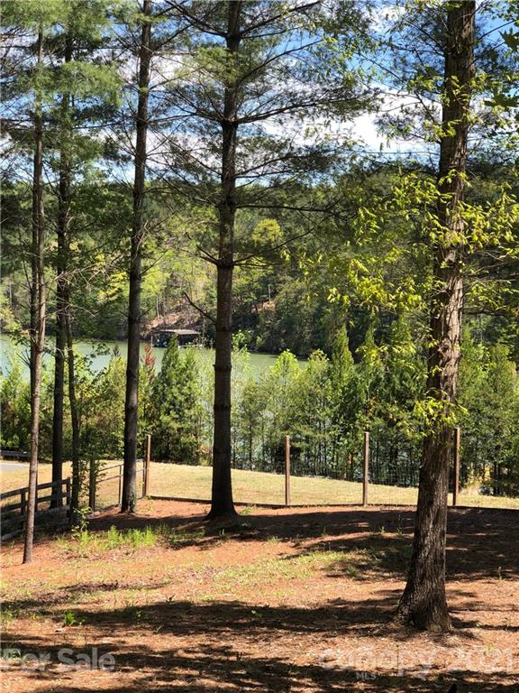 9643 Lake James Road, Unit 3 Nebo, NC 28761 - Photo 2 of 9 Gallery Image 2