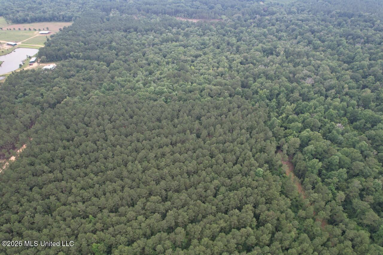 6643 Grange Hall Road Osyka, MS 39657 - Photo 34 of 39 DJI_0148 Large